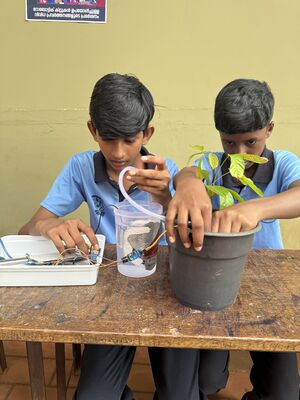 19112lk freedom fest 2025 H.JPG