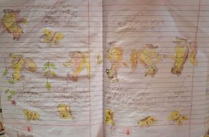 19759-MLP-KUNJ-RIGA CP.jpeg