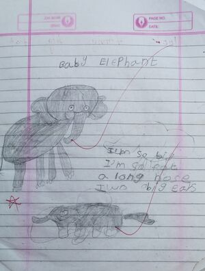 21915-PKD-KUNJU-Ansif Ali 1C.jpeg