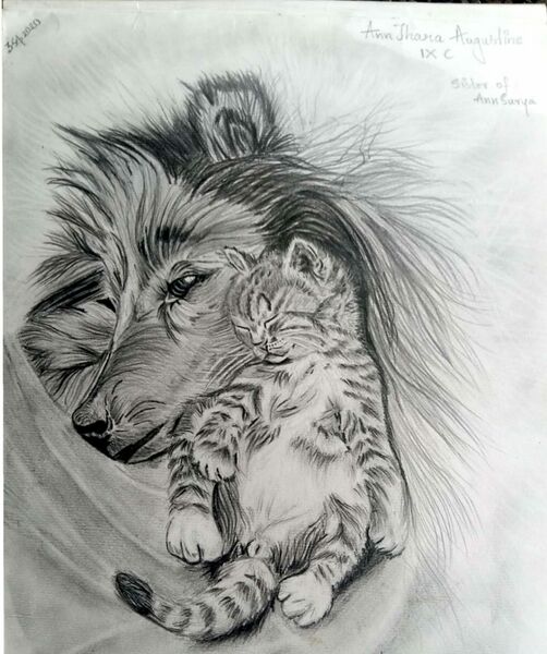 പ്രമാണം:26084 pic2.jpg