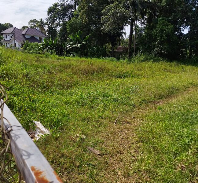 പ്രമാണം:33025 ira2.jpeg