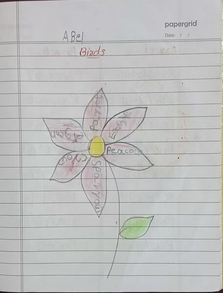 പ്രമാണം:33533-KTM-KUNJ-ABEL P PRADEEP.jpg