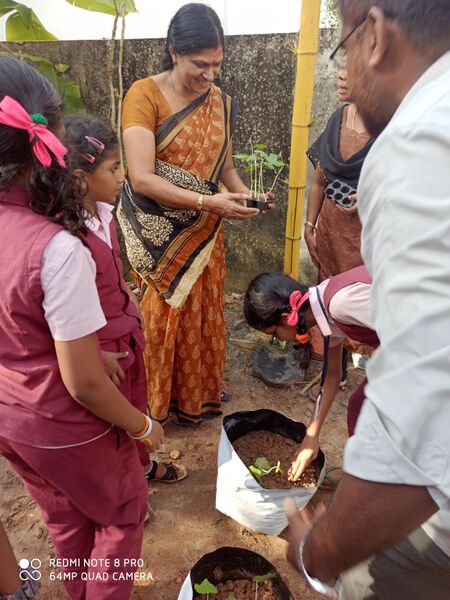 പ്രമാണം:35231 ECO7.jpg