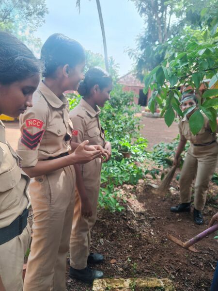 പ്രമാണം:38102 NCC P4.jpg