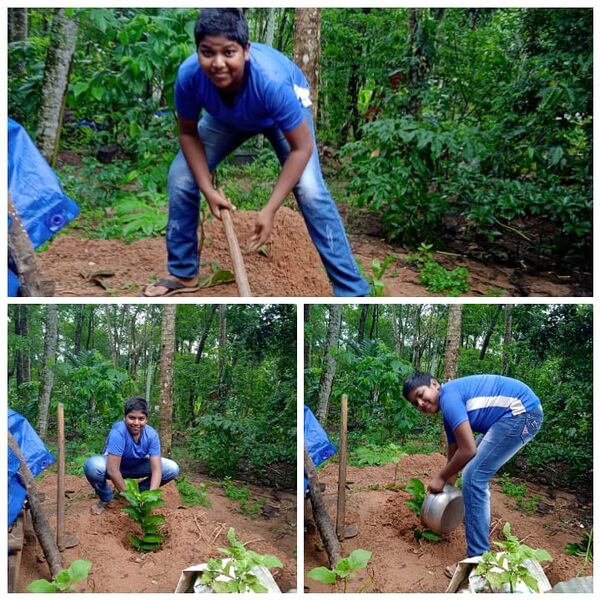 പ്രമാണം:44018 pd14.jpg