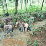 പ്രകൃതി സംരക്ഷണ ദിനത്തോടനുബന്ധിച്ച് തൊട്ടടുത്ത തോട് വൃത്തിയാക്കുന്നു.