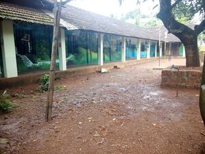 Cheleri up school image.jpg