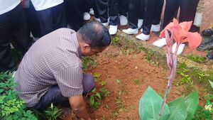 Independence day 44049 8.jpg