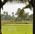 15:23, 2 നവംബർ 2024-ലെ പതിപ്പിന്റെ ലഘുചിത്രം