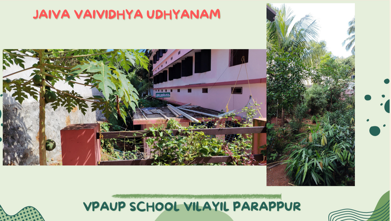 പ്രമാണം:വി.പി.എ.യു.പി.എസ്. വിളയിൽ പറപ്പൂർ 4 com.google.android.apps.docs.png