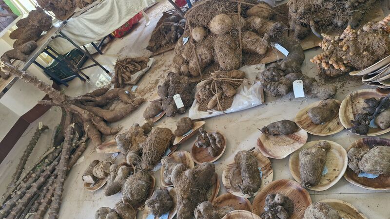 പ്രമാണം:11258 hitech roots.jpg