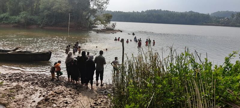 പ്രമാണം:11453-swim6.jpeg
