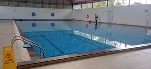 26440 SWIMMING POOL GUPSKARICODE.jpg