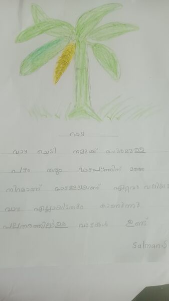 പ്രമാണം:34331-ALP-KUNJ-SALMAN S .jpg