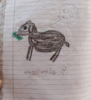 36443-ALP-KUNJ-ANUSREE S.jpeg