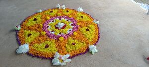 41649 onam.jpg