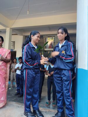 44011 Tree Exchange 2025-26 7.jpg