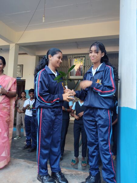 പ്രമാണം:44011 Tree Exchange 2025-26 7.jpg