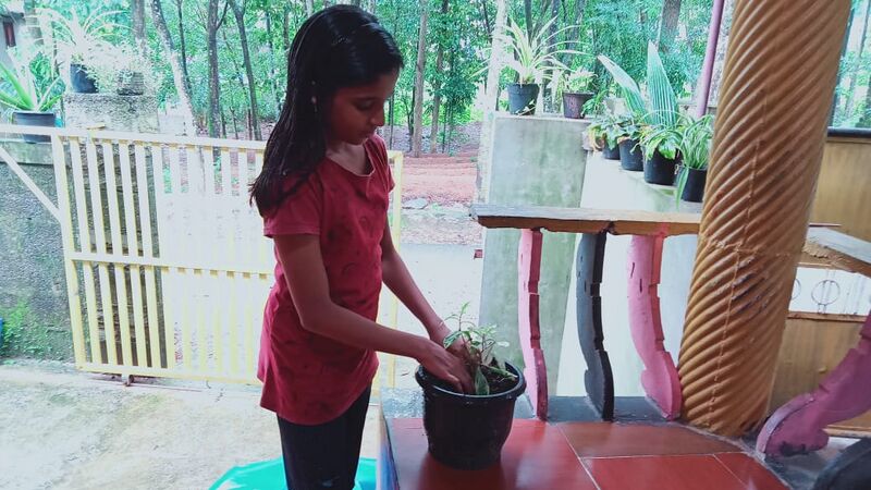 പ്രമാണം:44018 e28.jpg