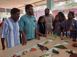 പച്ചക്കറികളെ അറബിയിൽ പരിചയപ്പെടുത്തി അറബ് കോർണർ