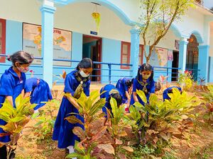 SCHOOL GARDEN