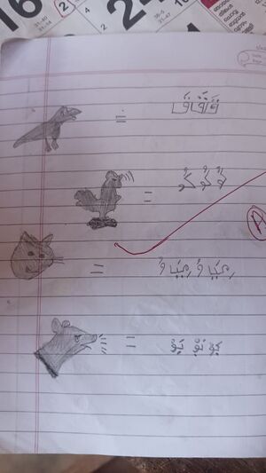 11433-KUNJ-KGD-MOIDEEN ZAYAN.jpg