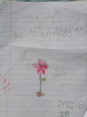 13104-KNR-KUNJ-JASIR HUSSAIN KP2.jpeg