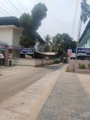 19079 Ente gramam.jpg