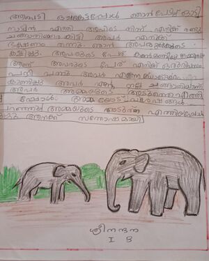 19433-MLP-KUNJ-SREENANDHANA K K.jpg