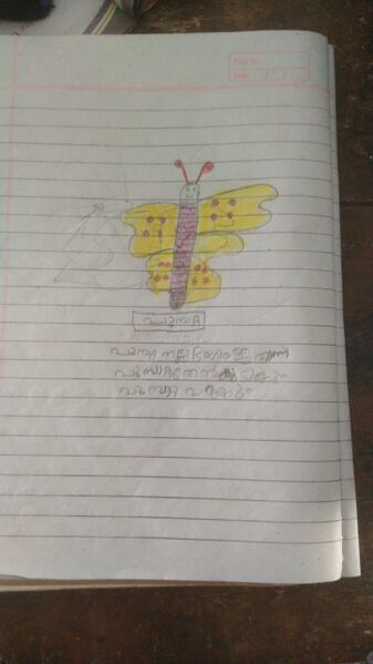 പ്രമാണം:19626-MAL-KUNJ-AYISHA FILZA.jpg