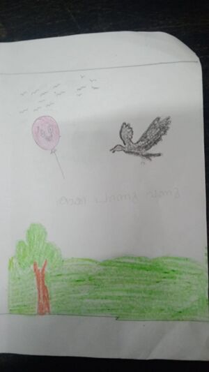 19733-MLP-KUNJMUHAMMED ADEEN6.jpeg