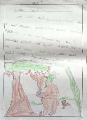 19873-MLP-KUNJ-ANAY T.jpg