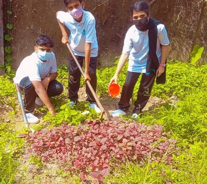 പ്രമാണം:20015 SPC7.jpeg