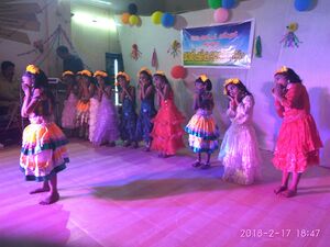 34215-kalolsavam8.jpg