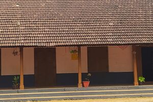 36003 schollphoto2.jpg