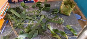 42071 LP 5,2.resized.jpg