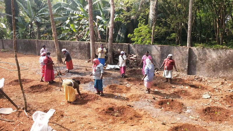 പ്രമാണം:SMC 1.jpg