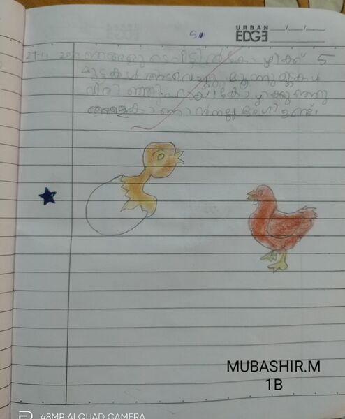 MUBASHIR M(1B)