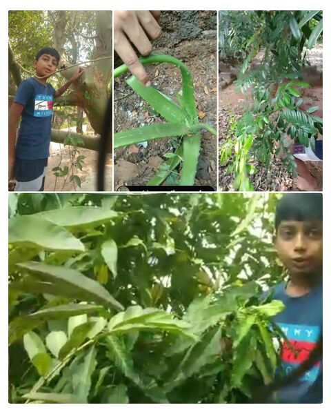 പ്രമാണം:19879 oshada.jpeg