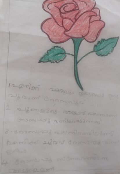 പ്രമാണം:26324 RIYON GEORGE.jpg