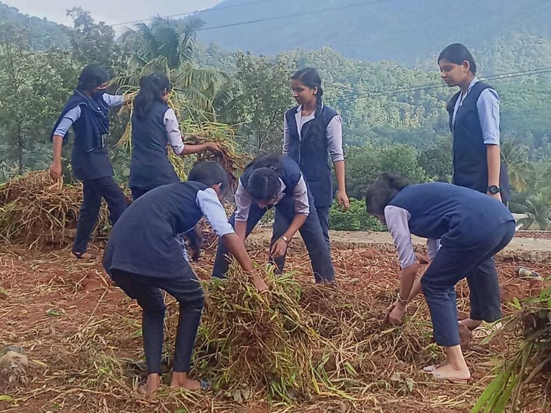 പ്രമാണം:29040-NSS Millet Cultivation-1.jpg