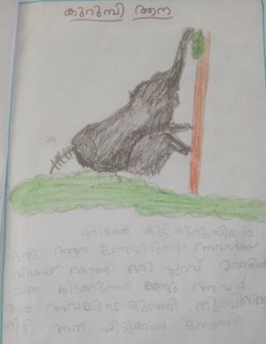 35229-ALP-KUNJ-AADHAV KRISHNA IC.jpg