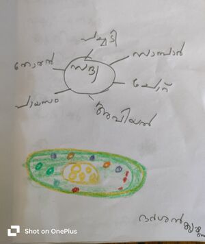 35416-ALP-KUNJ-Darsan Krishna.jpg