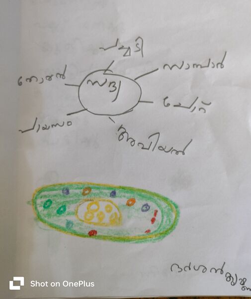 പ്രമാണം:35416-ALP-KUNJ-Darsan Krishna.jpg