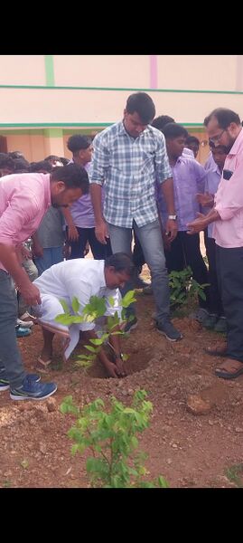 പ്രമാണം:42074-maram nadeel1.jpg