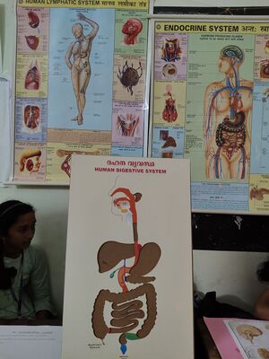 42085 expo 24 14.jpg