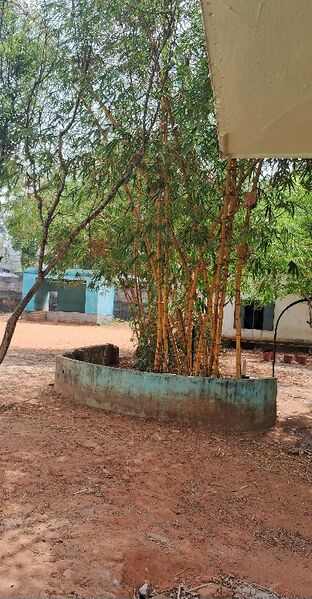 പ്രമാണം:43013 schoolwiki.jpg