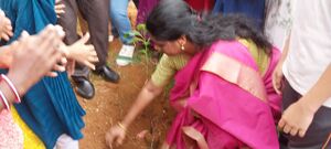 44228-2024environmentday2.jpg