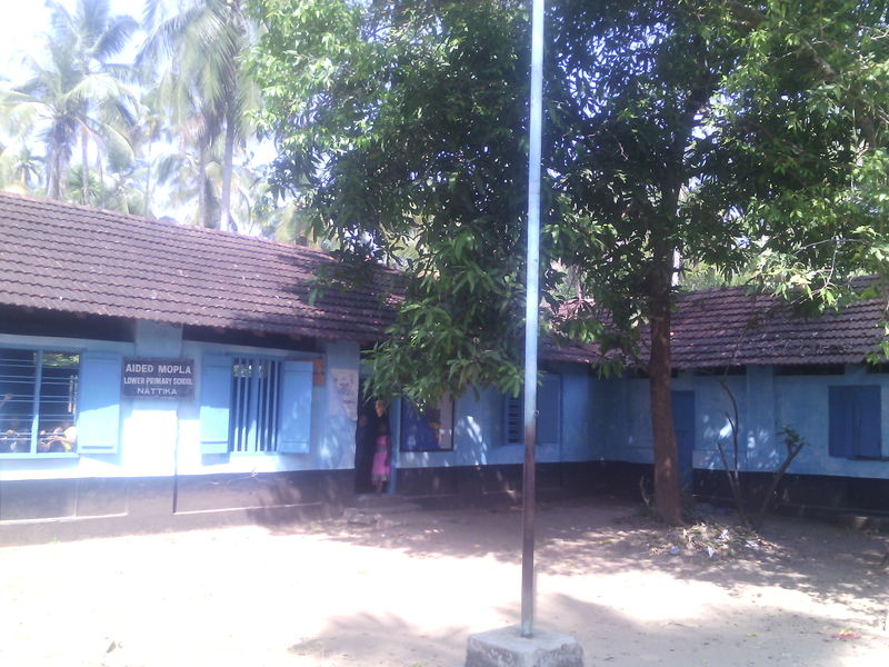 പ്രമാണം:AMLPS NATTIKA.jpg