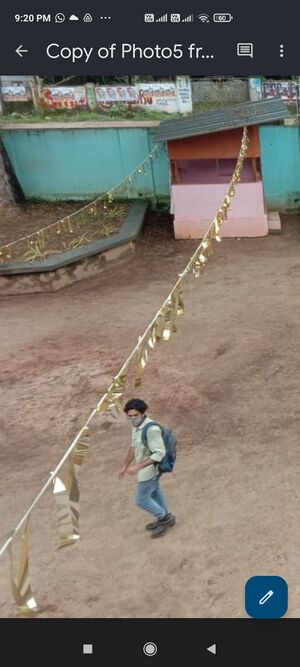 BS21 ALP 35013 1.jpg